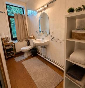 a bathroom with a sink and a toilet and a mirror at Citadelle Liège Centre in Liège