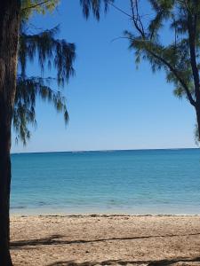 a view of the ocean from a beach with trees at Hyacinth Golf& Sea in Grand-Baie
