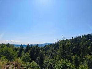 a view of a forest with mountains in the distance at Apartment Cankar's View in Vrhnika +5 photos