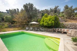 a swimming pool with green water in a yard at Can Carabá in Illes Balears