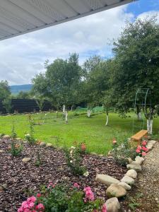 a garden with flowers and trees in a field at Rose & Raspberry Garden in Shevchenkovo