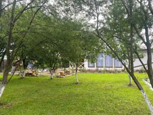 a yard with trees and a house in the background at Rose & Raspberry Garden in Shevchenkovo +9 photos