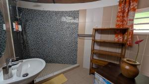 a bathroom with a sink and a shower at La Rond'Dada in Sainte-Suzanne +16 photos
