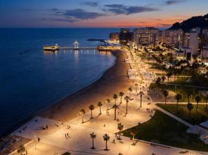 a view of a beach with palm trees and the ocean at Casa del Mar 2-Sea view Vollga, 2BR in Durrës