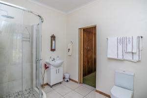 a bathroom with a shower and a toilet and a sink at Protea House in Graaff-Reinet +13 photos