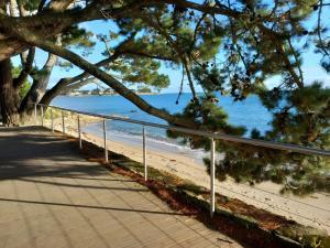 a walkway to the beach with a tree and the ocean at Bénodet Chambre D'hôtes Les Sauges in Bénodet