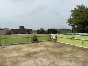 a bird sitting on the side of a green wall at Das & Das Hotel in Bhubaneshwar +11 photos