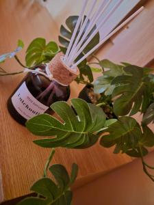 a bottle of vinegar sitting on a table next to a plant at Pensiunea Don Sergio in Predeal