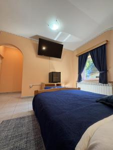 a bedroom with a large bed and a flat screen tv at Divlje vode in Stojdraga