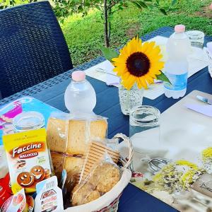 a picnic table with a basket of food and a sunflower at Bed and Breakfast della Regina... in Fondi
