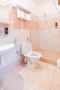 a bathroom with a toilet and a sink and a shower at Hotel Selsky Dvur in Vyškov +59 photos