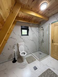 a bathroom with a toilet and a glass shower at Frogland in Žabljak +14 photos