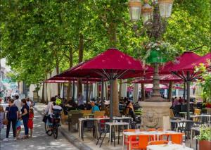a group of people sitting at tables with umbrellas at Appart cosy avec balnéo, balcon, clim à 15 min de la Cité in Carcassonne