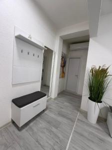 a white room with a bench and a plant at 24 Apartment in Strumica