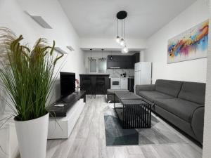 a living room with a couch and a kitchen at 24 Apartment in Strumica