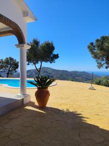 a plant in a pot sitting next to a house at Tower house in Cómpeta