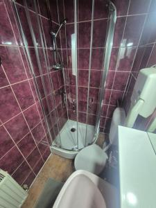 a bathroom with a shower with a sink and a toilet at Pensiunea Don Sergio in Predeal +42 photos
