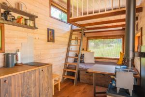 a tiny house with a bunk bed and a ladder at Ráj pod Troskami in Semily +19 photos