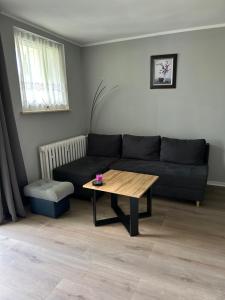 a living room with a couch and a table at Apartament Opawska in Racibórz +1 photo