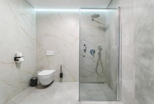 a bathroom with a shower and a toilet at Piktupės slėnis in Piktupėnai