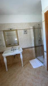 a bathroom with a sink and a shower at casa di malika in Borgo Venusio