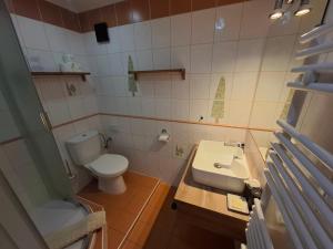a small bathroom with a toilet and a sink at Pension Three in Františkovy Lázně +87 photos