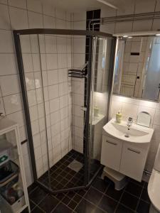 a bathroom with a shower and a sink at Central lägenhet i Visby -4 person inkl parkering in VBY