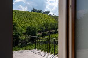 a view of a vineyard from a balcony at Agriturismo Fontanavecchia in Torrecuso