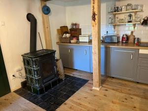a kitchen with a stove in the middle of a room at Chalupa Hubina in Snědovice