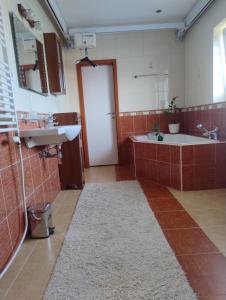 a bathroom with a sink and a tub and a toilet at Apartmán Nebo in Turčianske Teplice +6 photos