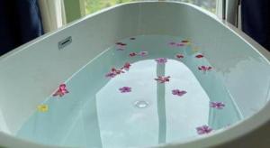 a close up of a toilet seat with flowers on it at Tinian diamond hotel in Tinian International Airport +69 photos