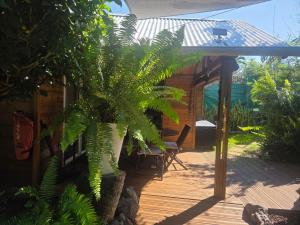 a house with a palm tree on a wooden deck at Le Chalet Atypique in Saint-Pierre