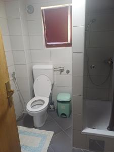 a small bathroom with a toilet and a shower at Apartman BelSa in Sarajevo