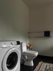 a bathroom with a washing machine and a toilet at The Forest room in Ikšķile +14 photos