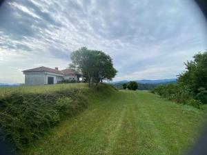 a house on top of a hill with a tree at Panorama Hause in Podplat