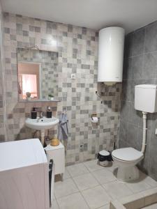 a bathroom with a toilet and a sink at Natasa in Bačka Palanka +9 photos