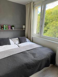 a bedroom with a large bed and a window at Apartmánový byt VYHNE in Vyhne +5 photos