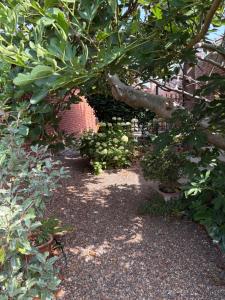 a garden with a tree and some plants at River Garden View in Beccles