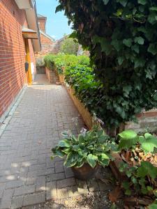a garden with potted plants and a brick walkway at River Garden View in Beccles