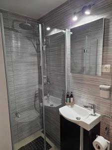 a bathroom with a shower and a sink at Apartman Tina in Vučevica