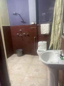a bathroom with a toilet and a sink at The Rainbow Inn in Sonāda