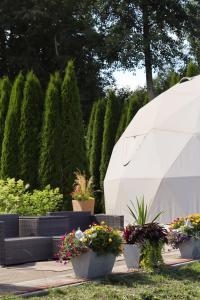 a garden with a white tent and some flowers at Glempingosta in Bauska