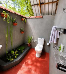 a bathroom with a toilet and a fish tank at Nethmini Leege Cottage in Kibissa