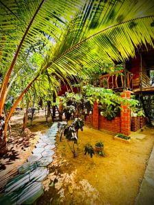 a garden with a palm tree and a brick building at Nethmini Leege Cottage in Kibissa