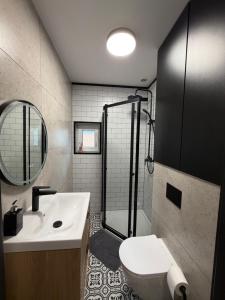 a bathroom with a sink and a toilet and a mirror at Black House in Sława +6 photos