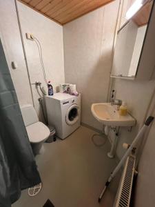 a small bathroom with a toilet and a sink at Ravikatu, Oulainen, in Oulainen