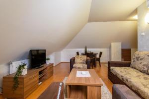 a living room with a couch and a tv at Apartment Vila Simovic in Zlatibor