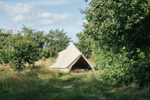 a tent in the middle of a field with trees at Eco Farm Camping 'de Waeldernis' in De Waal