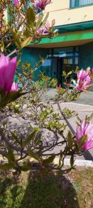 ein Baum mit rosa Blüten vor einem Gebäude in der Unterkunft Hotel Orijent 22 in Laktaši