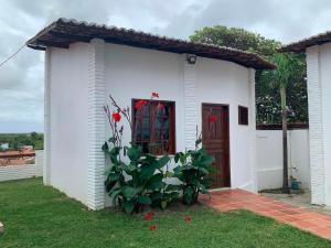 a white house with a plant in front of it at Quartos da Mell in Beberibe
